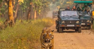 Kathmandu: 4-Day Private Chitwan National Park Safari Tour - Getting There: Tourist Bus, Tharu Welcome, and a Real First Night