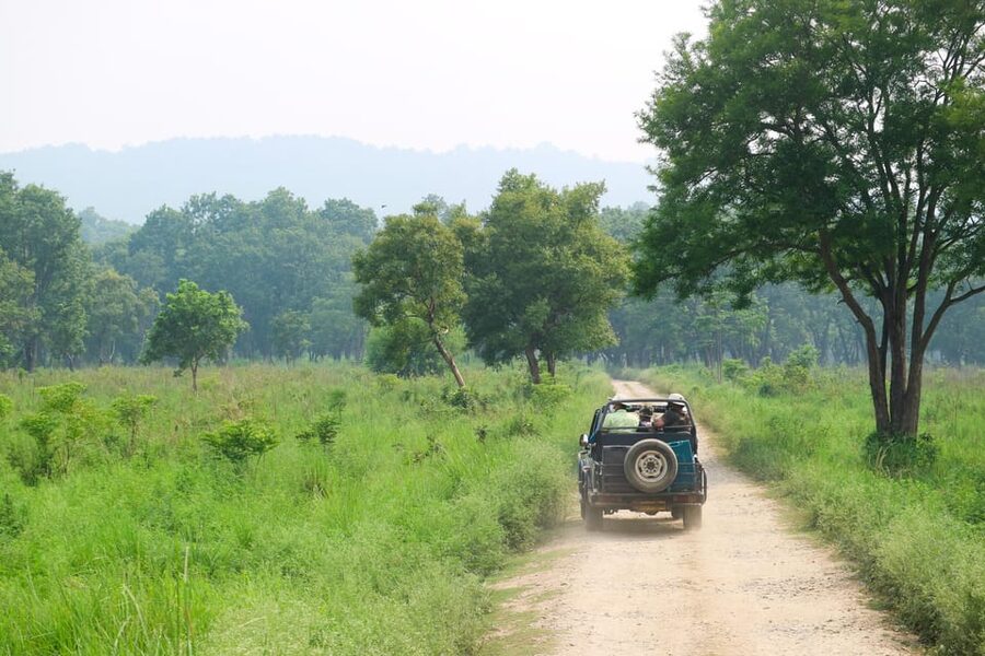 Kathmandu: 4-Day Private Chitwan National Park Safari Tour - Day 3 Options: Jungle Walk or Cycling to 20,000 Lake