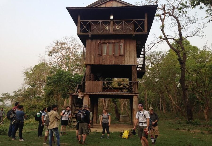 Kathmandu: 4-Day Private Chitwan National Park Safari Tour - Day 4 Morning Nature Walk, Then Back Toward Kathmandu or Pokhara