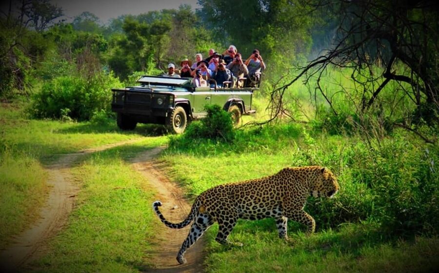 Kathmandu: 4-Day Private Chitwan National Park Safari Tour - Wildlife Reality Check: What You Can Aim For (and How to Think About Odds)