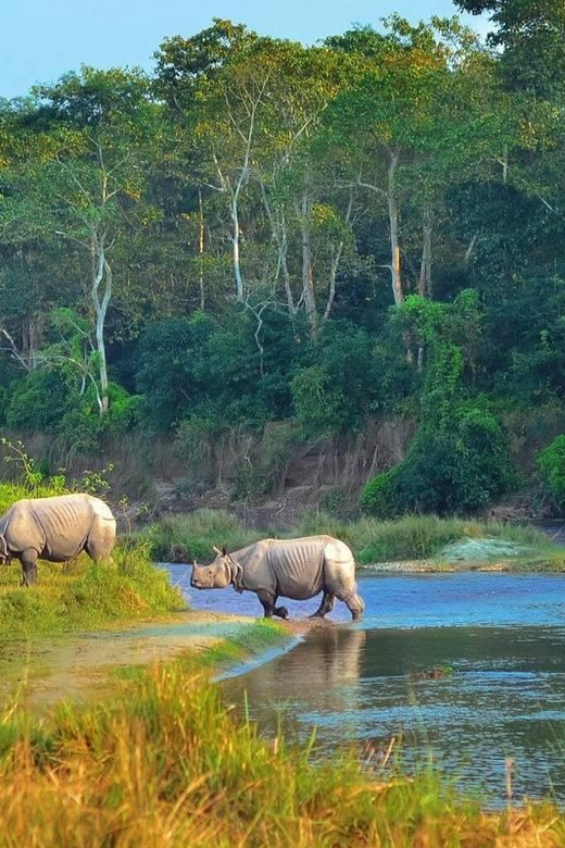 Kathmandu: 4-Day Private Chitwan National Park Safari Tour - Meals, Comfort, and What the Included Stuff Really Buys You