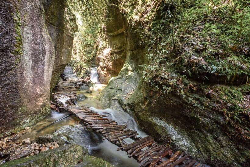 Kathmandu: Shivapuri National Park Day Hike with Lunch box - From Thamel pickup to the park: how the day starts