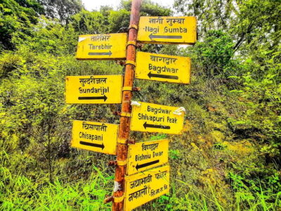 Kathmandu: Shivapuri National Park Day Hike with Lunch box - The Shivapuri trail: moderate climb, forest air, and bird moments