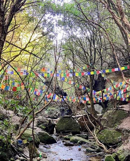 Kathmandu: Shivapuri National Park Day Hike with Lunch box - Guide and pace: what you gain from a local professional