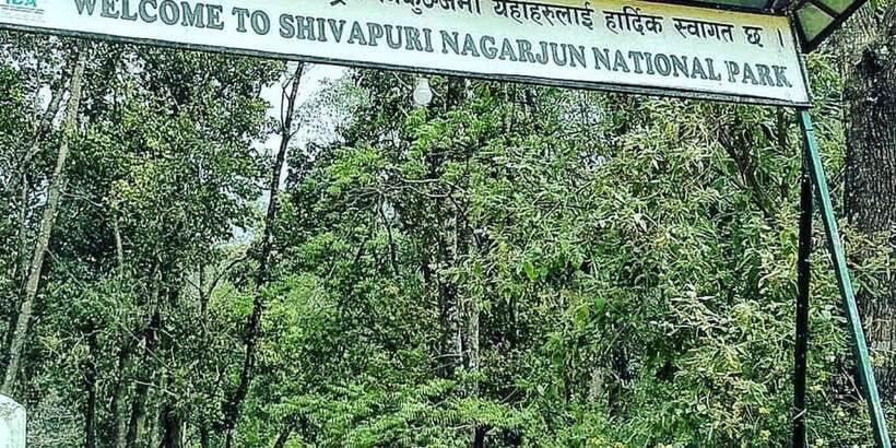 Kathmandu: Shivapuri National park Day Hiking - Kathmandu Valley views and the Himalayan backdrop (when skies cooperate)
