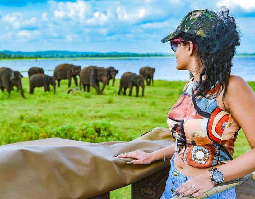 Kaudulla National Park Half-Day Safari with Expert - What you might spot: elephants, crocs, birds, and the rest of the food chain