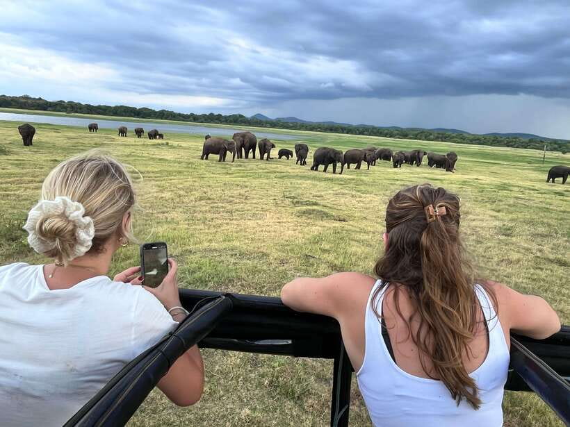 Kaudulla National Park: Private Safari - The reservoir drive: where wildlife shows up during the day