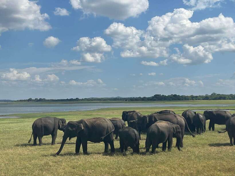 Kaudulla National Park: Private Safari - What to Bring: Small Stuff That Makes the Safari Easier