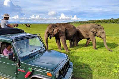 Kaudulla National Park Safari | Jeep with Tickets - Your Jeep Setup: Why Private 4x4 With Tickets Is Good Value