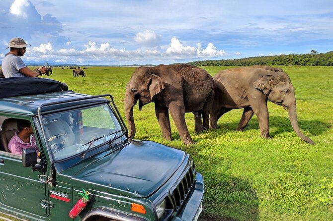 Kaudulla National Park Safari | Jeep with Tickets - Your Jeep Setup: Why Private 4x4 With Tickets Is Good Value