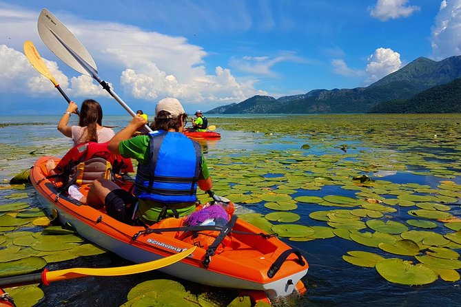 Kayak Guided Tour Skadar lake - Adventure in National park - Key things I’d watch for