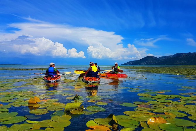 Kayak Guided Tour Skadar lake - Adventure in National park - Stop 2: Fort Lesendro (A Castle Break with Sightseeing Time)