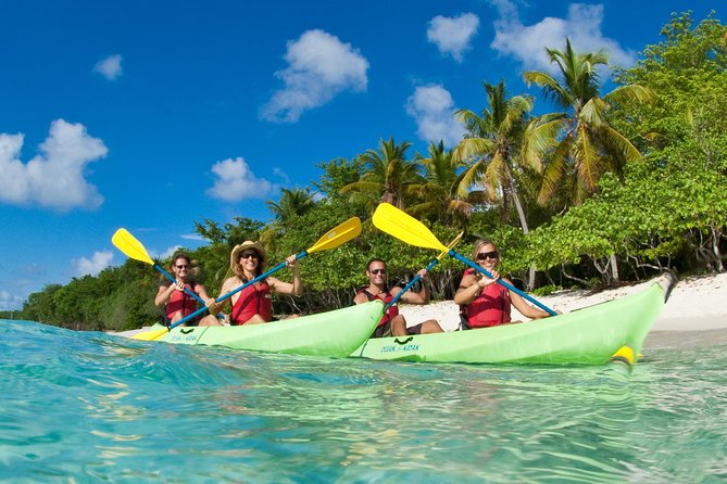 Kayak & Snorkel with Sea Turtles, National Park, St. John - Caneel Bay and the Sea Turtle Snorkel Zone: What You’re Actually Chasing