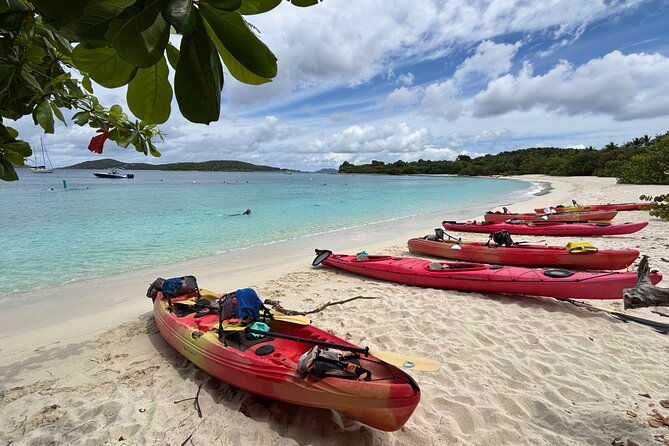 Kayak & Snorkel with Sea Turtles, National Park, St. John - Price and Value at $119: Is It Worth It for St. John?