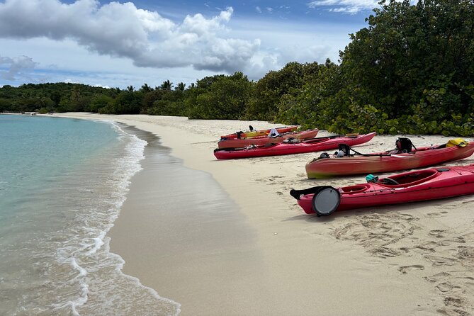 Kayak & Snorkel with Sea Turtles, National Park, St. John - Guides Make the Day: Names You’ll Hear and the Style That Helps