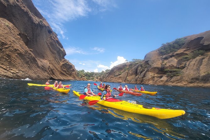 Kayak Tour at Calanques National Park (Ciotat) - Gear, comfort, and what to bring so the day stays easy
