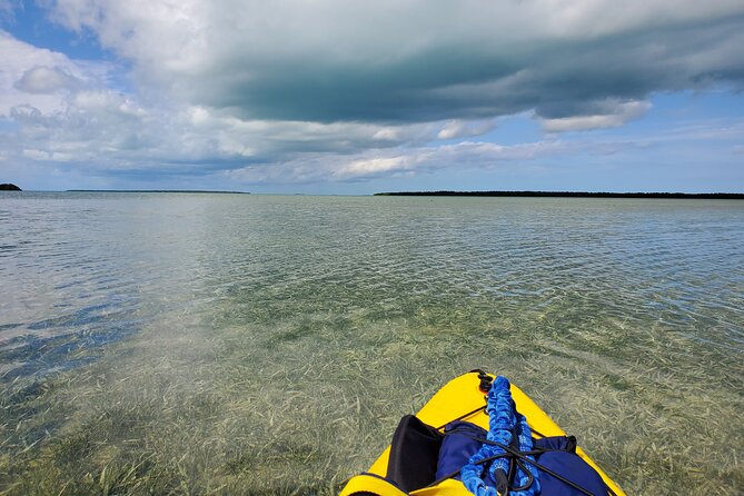 Kayak Trip & 3 hikes in Everglades National Park - A small-group Everglades plan that feels built for real people