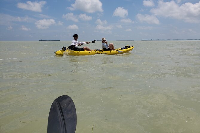 Kayak Trip & 3 hikes in Everglades National Park - The day’s rhythm: a mix of short walks and a longer water session