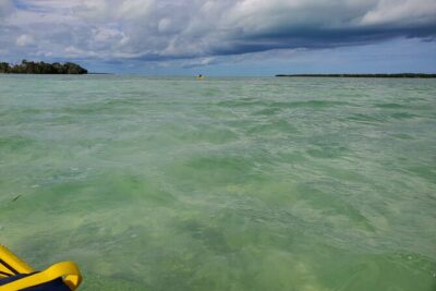 Kayak Trip & 3 hikes in Everglades National Park - Getting started: pickup timing, meeting point, and why 7:30 a.m. matters