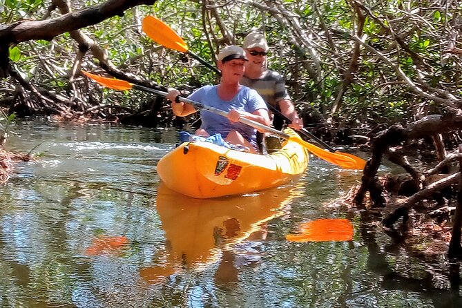 Kayak Trip & 3 hikes in Everglades National Park - Anhinga Trail through the River of Grass: where alligator odds are best