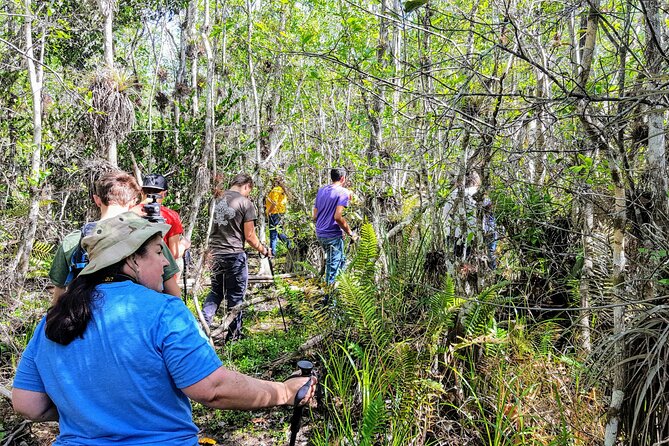 Kayak Trip & 3 hikes in Everglades National Park - Flamingo kayak: the hands-on wildlife time (manatees, crocodiles, birds)