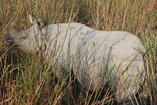 Kaziranga National Park & Guwahati - The Brahmaputra sunset cruise: your evening reset in Guwahati