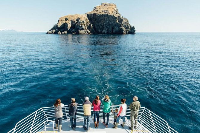 Kenai Fjords National Park Glacier Dinner Cruise from Seward - Aialik Bay and Resurrection Bay: short stops with big scenery payoffs