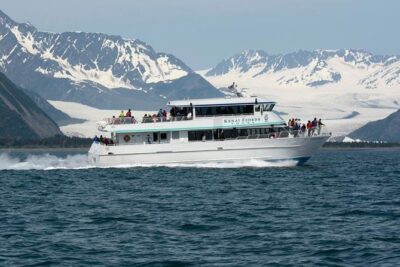 Kenai Fjords National Park Glacier Dinner Cruise from Seward - Wildlife spotting with the onboard guide: more than just sightseeing