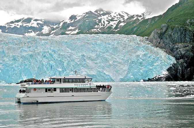 Kenai Fjords National Park Glacier Dinner Cruise from Seward - Alaska Maritime National Wildlife Refuge: seabirds are part of the show