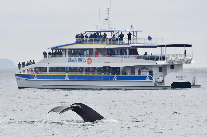 Kenai Fjords National Park Glacier & Wildlife Cruise - From Seward to Resurrection Bay: how the day starts