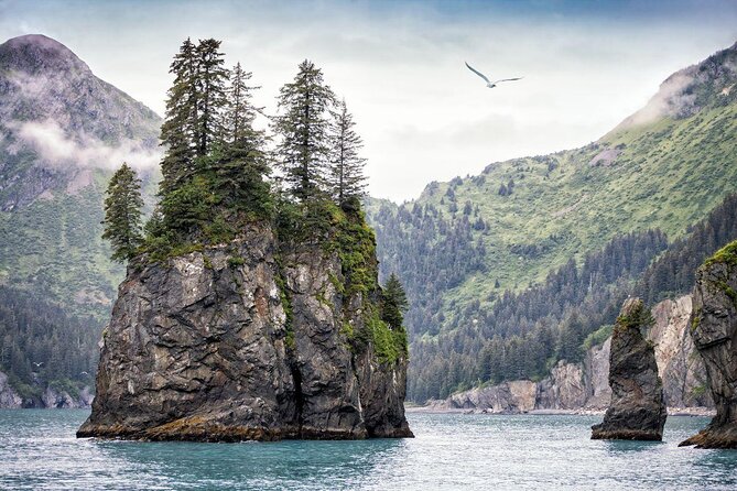 Kenai Fjords National Park Glacier & Wildlife Tour from Seward - Quick hits before you go