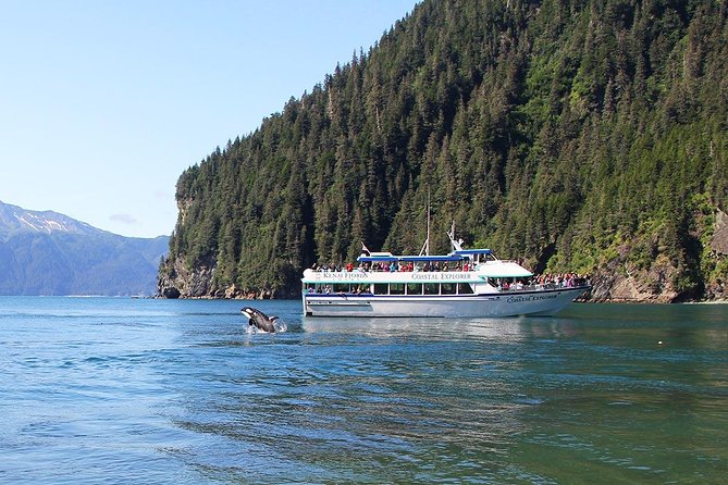 Kenai Fjords National Park Glacier & Wildlife Tour from Seward - Alaska Maritime National Wildlife Refuge: seabird rookeries and what to look for