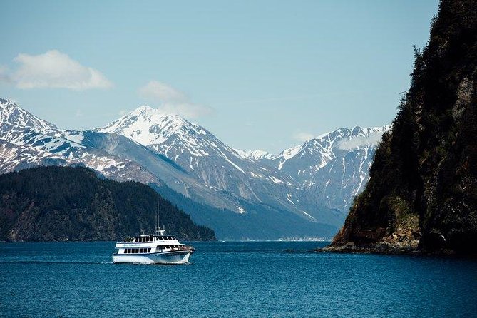 Kenai Fjords National Park Glacier & Wildlife Tour from Seward - The route that matters: Resurrection Bay and the Kenai Fjords approach