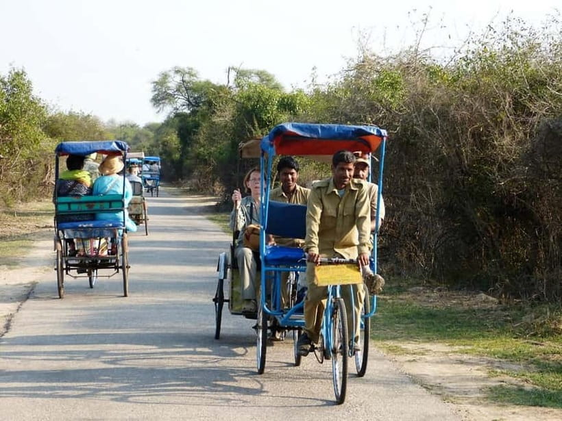 Keoladeo National Park Tickets and Guided Tour - Guided by experts: what Manoj Sharma adds to the birding
