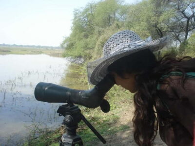 Keoladeo National Park Tickets and Guided Tour - Your 3-hour flow inside the park (and how to make it count)