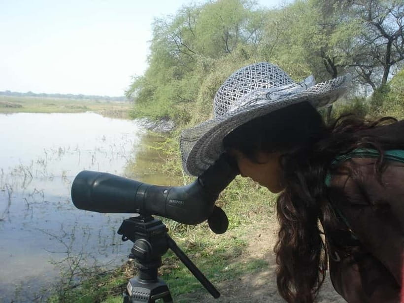 Keoladeo National Park Tickets and Guided Tour - Your 3-hour flow inside the park (and how to make it count)