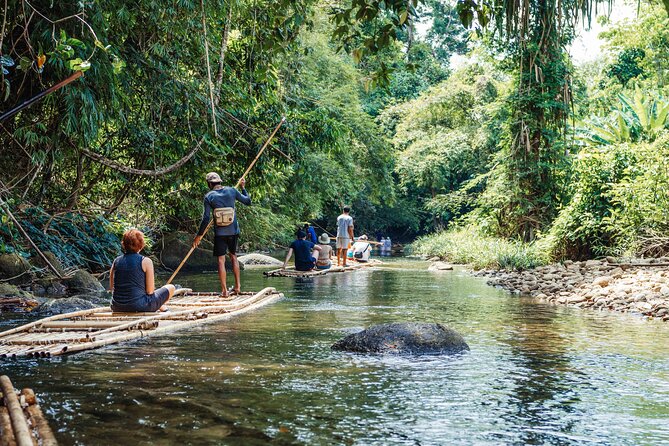 Khao Lak Full Day Tour: Sarasin Bridge, Khao Lak National Park, Lampi Waterfall - Sea Turtle Conservation Center: rehab work you can actually see