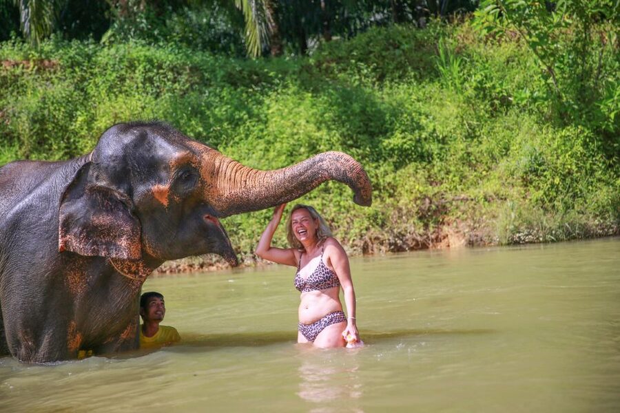 Khao Lak: Khao Sok National Park Overnight Treehouse Trip - Price and value: what $257 buys you in real-world terms