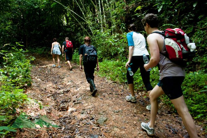 Khao Sok National Park Hiking and Bamboo Raft Tour From Khao Lak - From Khao Lak to Khao Sok: what the day costs and what you’re getting