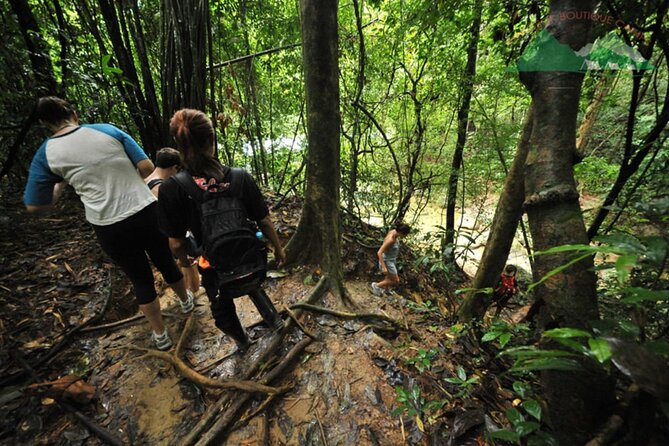 Khao Sok National Park Hiking and Bamboo Raft Tour From Khao Lak - The morning drive and arrival game plan