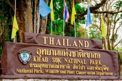 Khao Sok National Park Hiking and Bamboo Raft Tour From Khao Lak - Jungle hiking in Khao Sok: what you’re walking through