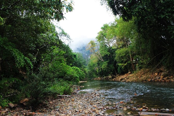 Khao Sok National Park Hiking and Bamboo Raft Tour From Khao Lak - Bamboo rafting on the Sok River: the slow part that feels special