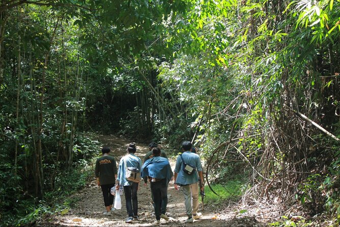 Khao Sok National Park Hiking and Bamboo Raft Tour From Khao Lak - Wat Sok Tham Phanthurat (Panturat Temple): macaques and temple vibes