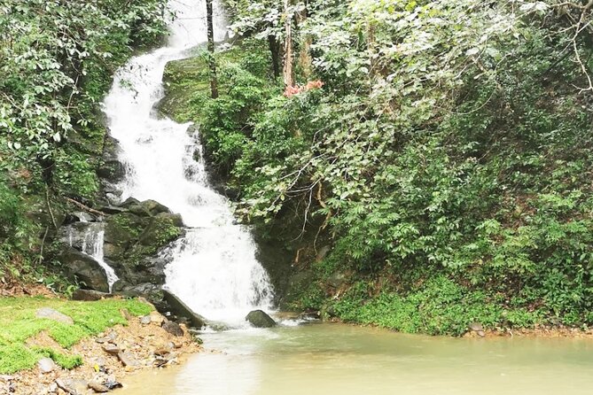 Khao Sok National Park Hiking and Bamboo Raft Tour From Khao Lak - Rainy season extra: Mae Yai Waterfall (only when included)