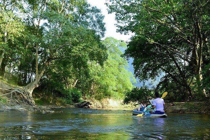 Khao Sok National Park Jungle Safari Full Day Tour from Phuket - The big idea: a full day of rainforest sights without the planning headache