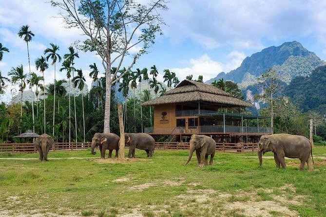 Khao Sok National Park Jungle Safari Full Day Tour from Phuket - Timing and pacing: 7:00 am out, sunset drive back around 6:00 pm