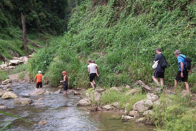 Khao Sok National Park Jungle Safari Full Day Tour from Phuket - English-speaking guide quality: the difference between seeing and understanding