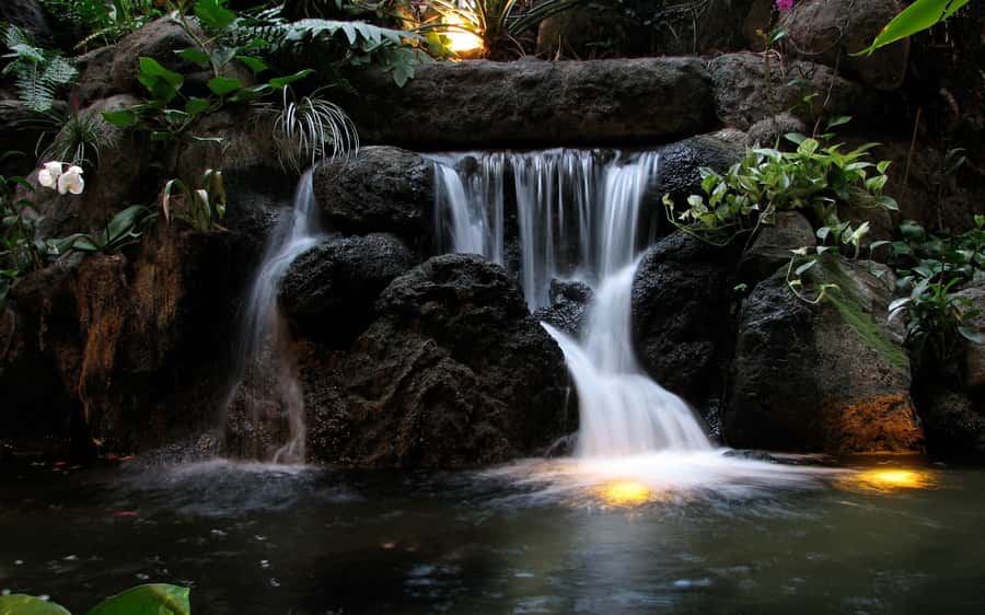 Khao Yai National Park: 2-Day Private Tour from Bangkok - Key things that make this Khao Yai trip worth your time