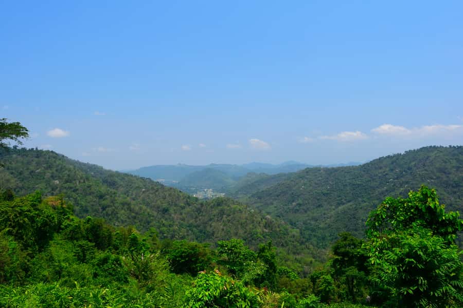 Khao Yai National Park: 2-Day Private Tour from Bangkok - Day 2 hiking through dry evergreen forest (and what to expect)