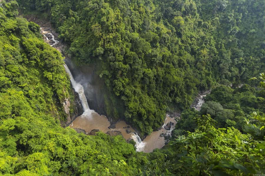Khao Yai National Park: 2-Day Private Tour from Bangkok - Evening elephant stakeout at the salt licks (the hardest part to plan)